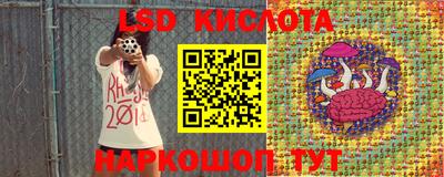 винт Будённовск